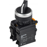 Переключатель на 2 положения IEK MASTER 1НО+1НЗ черный MI-SW60-11X2-3-24-2-K02